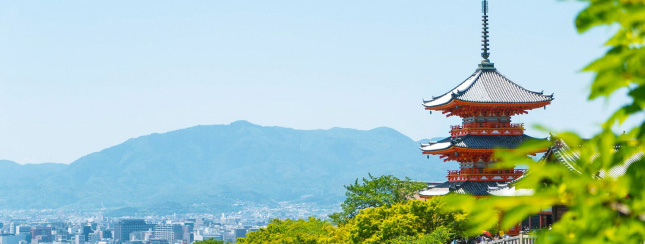 ファーストビュー